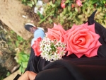 玫瑰花