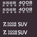 东风标致试驾车刻字