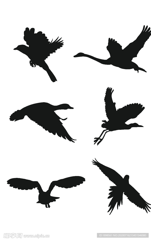 动物鸟剪影飞翔动态