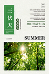 三伏天