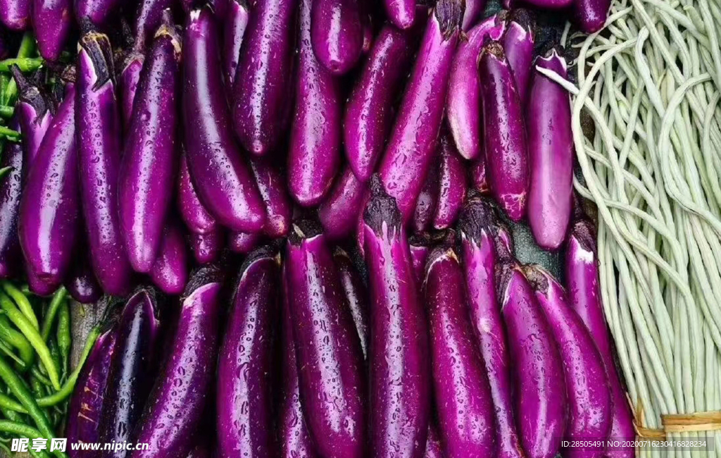 茄子