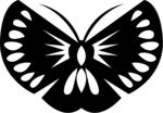 手绘蝴蝶纹身图案