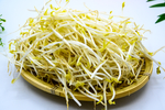 绿豆芽