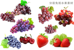 高清免抠水果素材