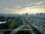 城市