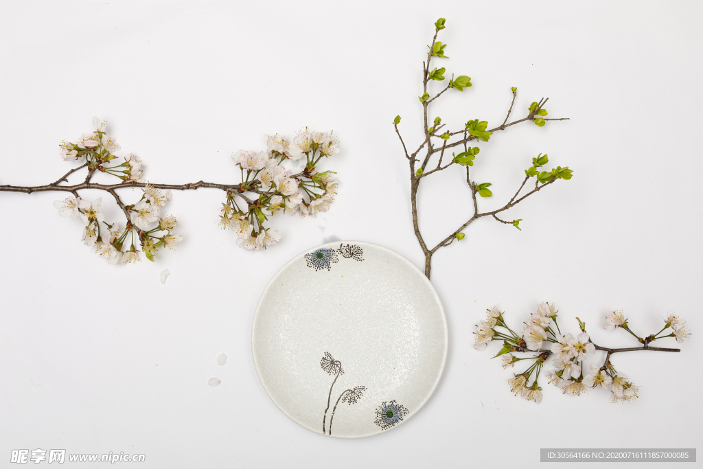 盘子花枝意境留白背景素材