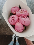 鲜花