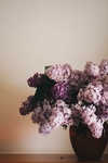 鲜花
