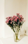鲜花