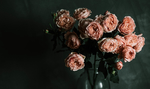 鲜花