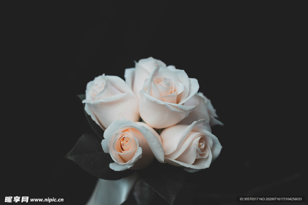 鲜花