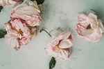 鲜花