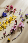 鲜花