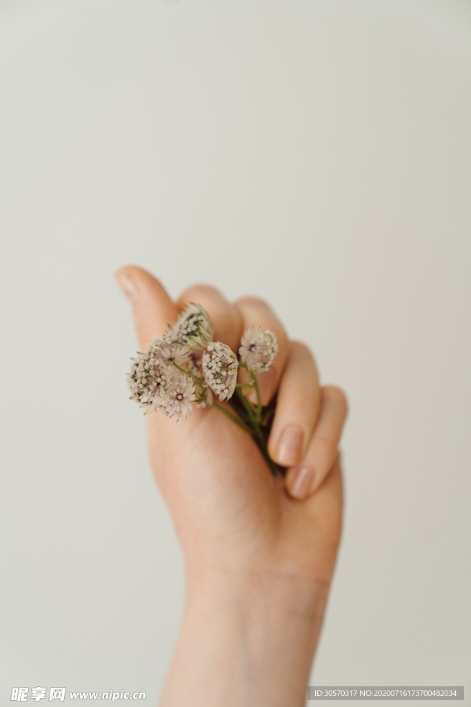 鲜花