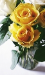 鲜花