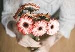 鲜花