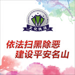 扫黑除恶