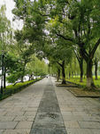 公园里的游步道
