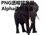 大象