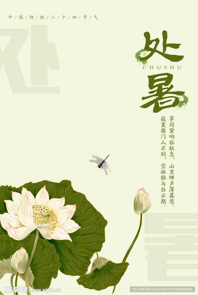节气海报