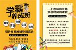 辅导班招生