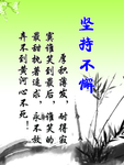 坚持不懈