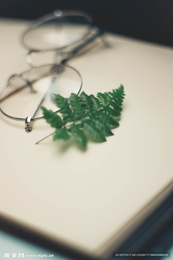 植物