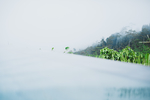 风景