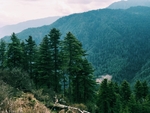 风景