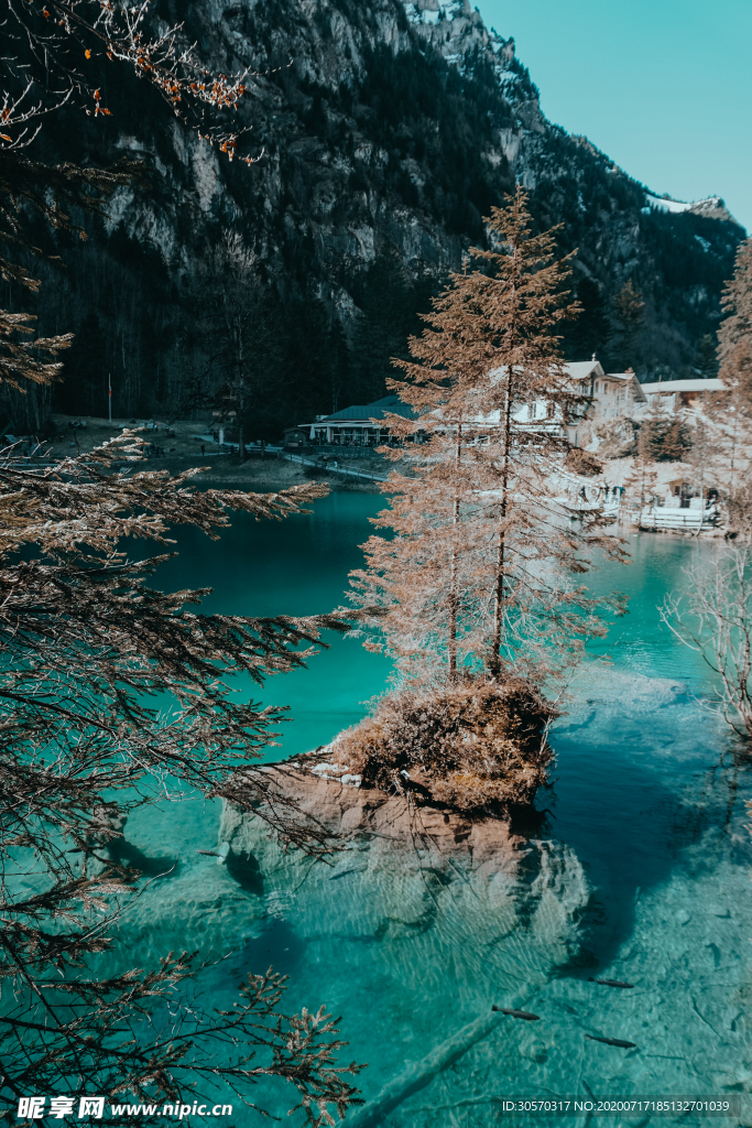 风景