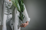 植物