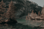 风景