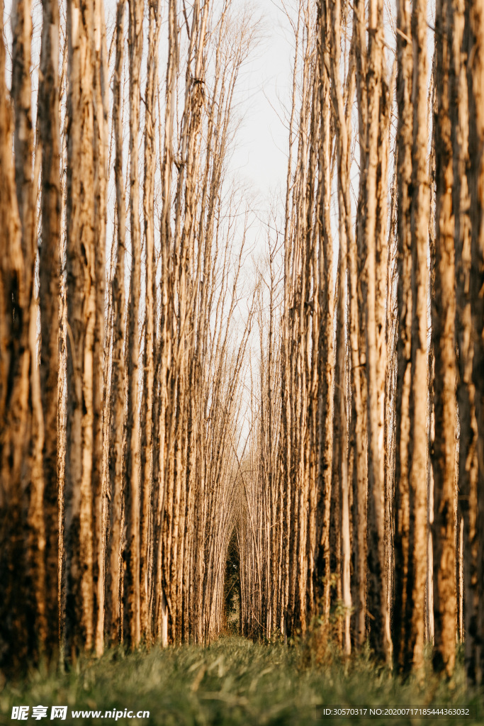 风景