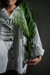 植物