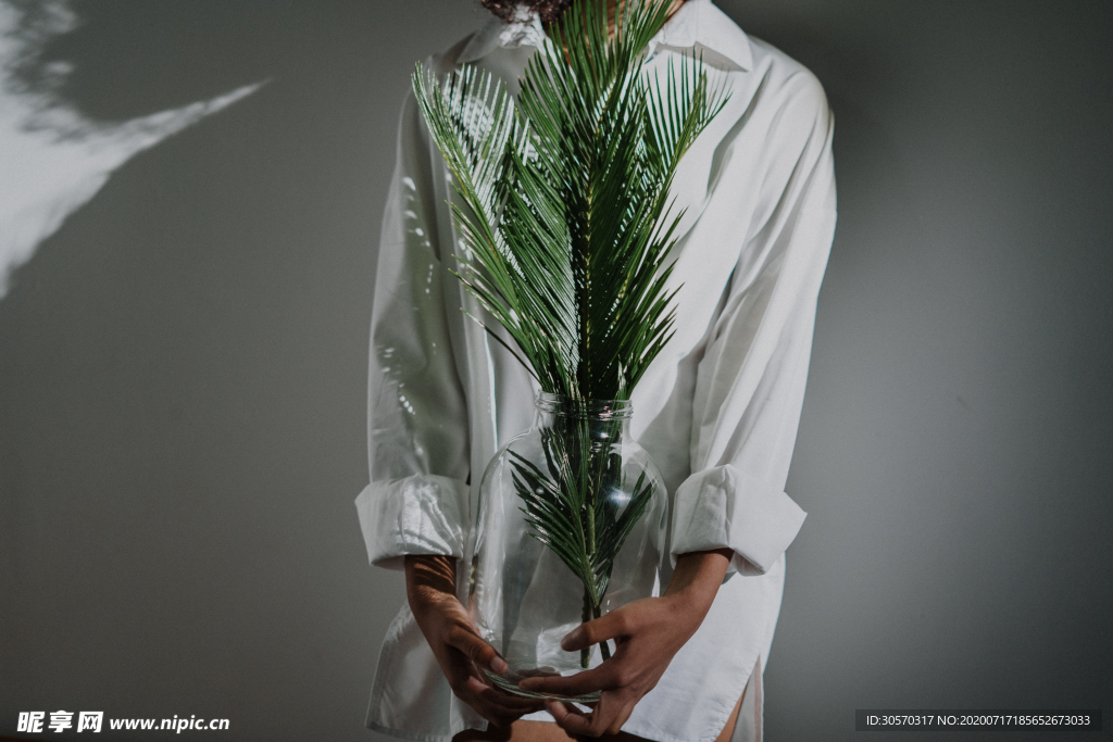 植物