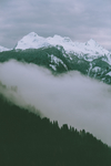 风景
