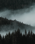 风景
