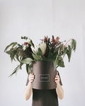 植物