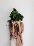 植物