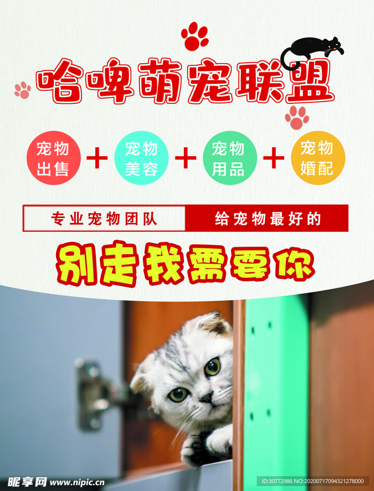 宠物店