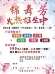 锦舞芳