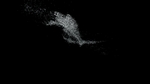 水元素