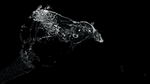 水花