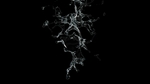 水花