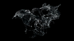 水花
