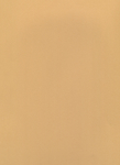 纸纹