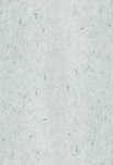 纸纹