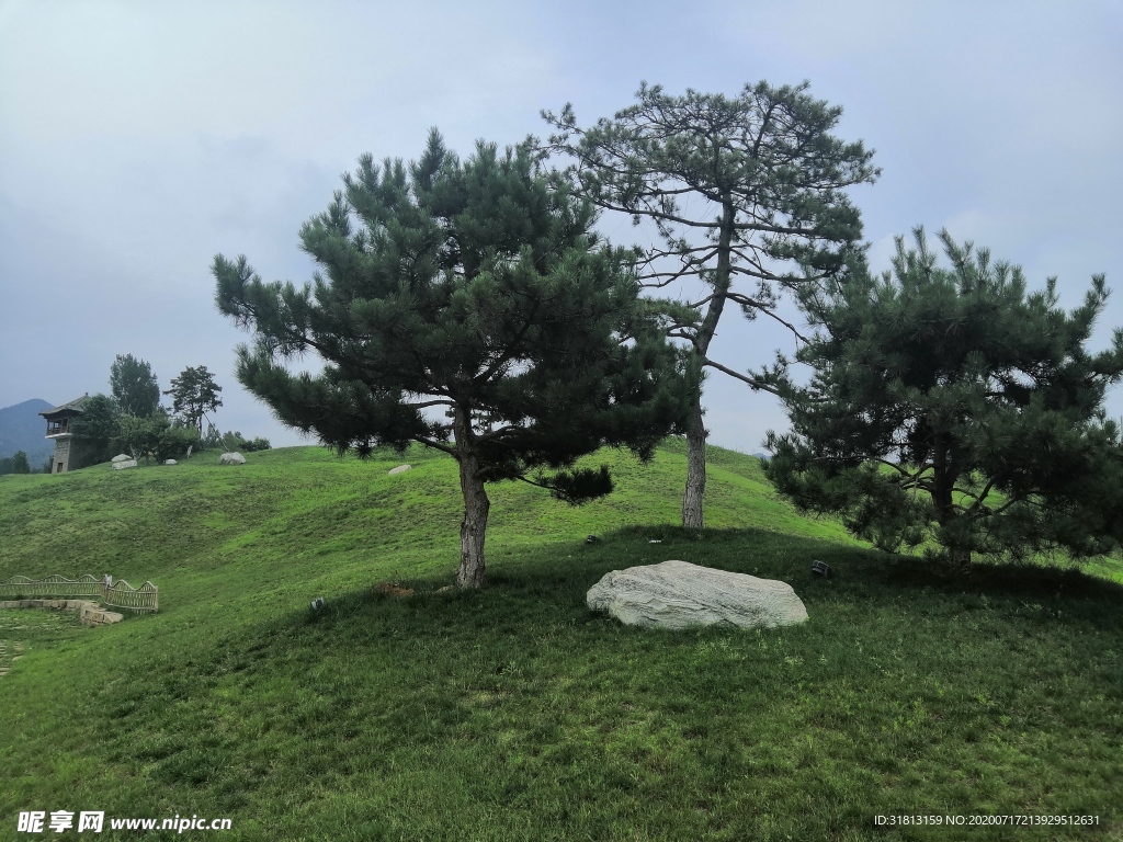 王屋山老街迎客松