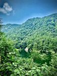 青山绿水