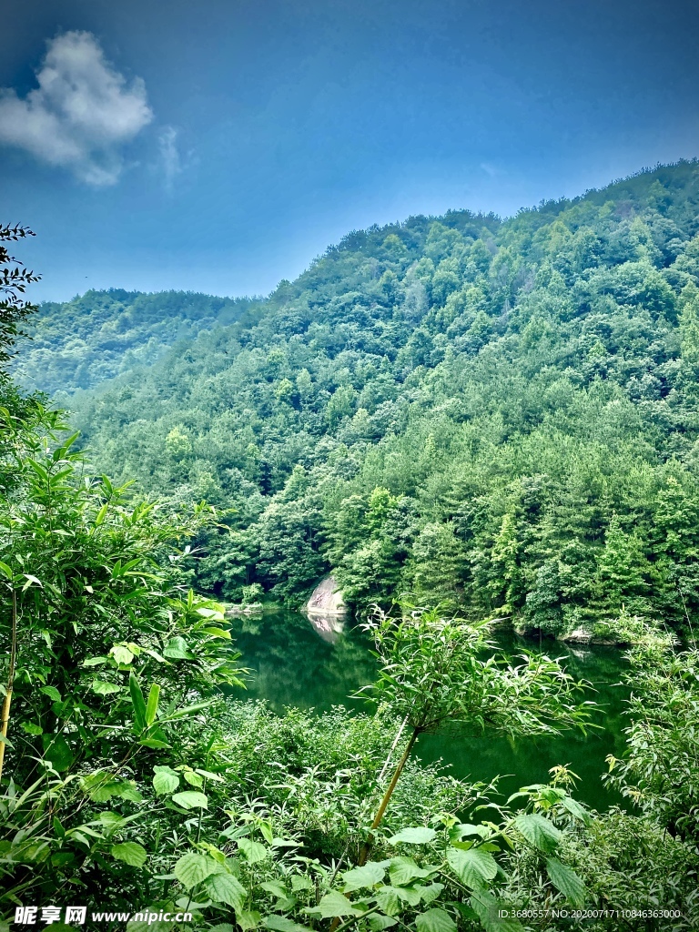 青山绿水